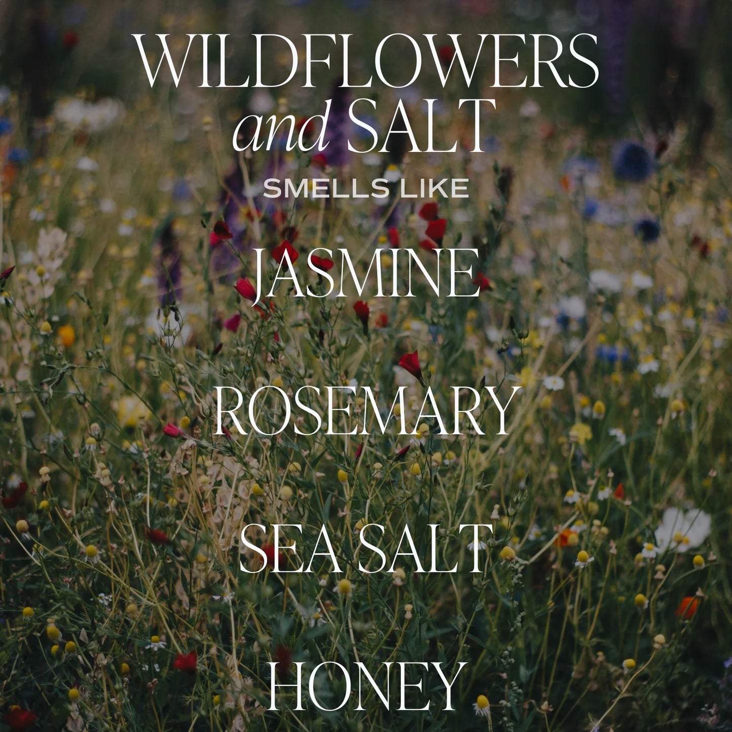 Wildflowers and Salt