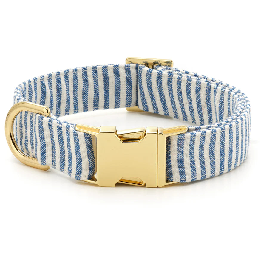 Lake blue stripe collar (medium)