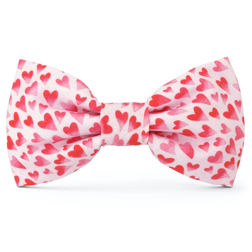 Heart Throb dog bow tie (small)