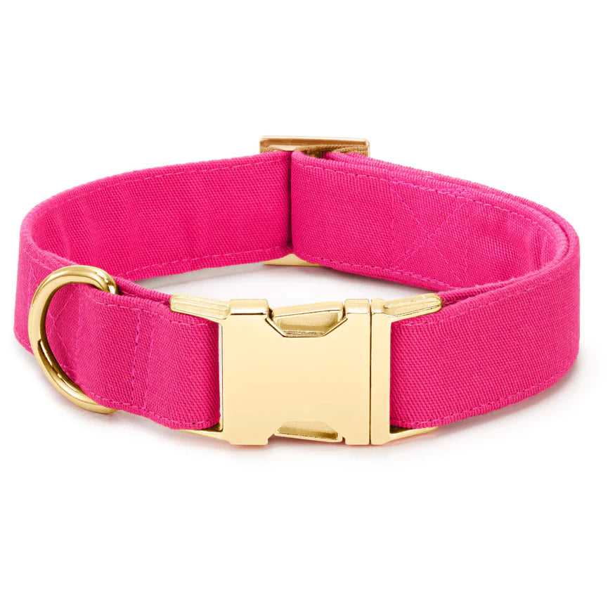 Hot pink dog collar (small)