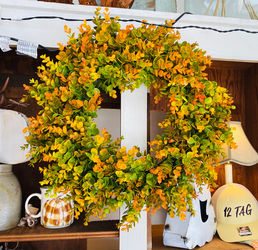 Variegated Box Wood Wreath