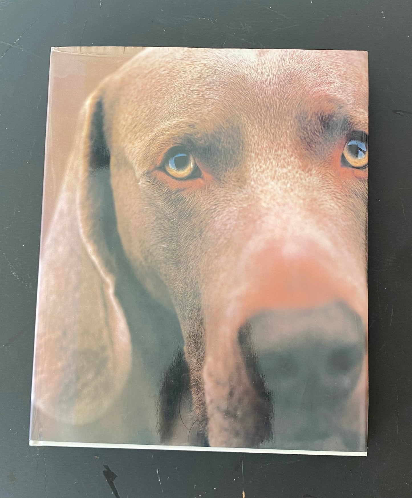 William Wegman Book