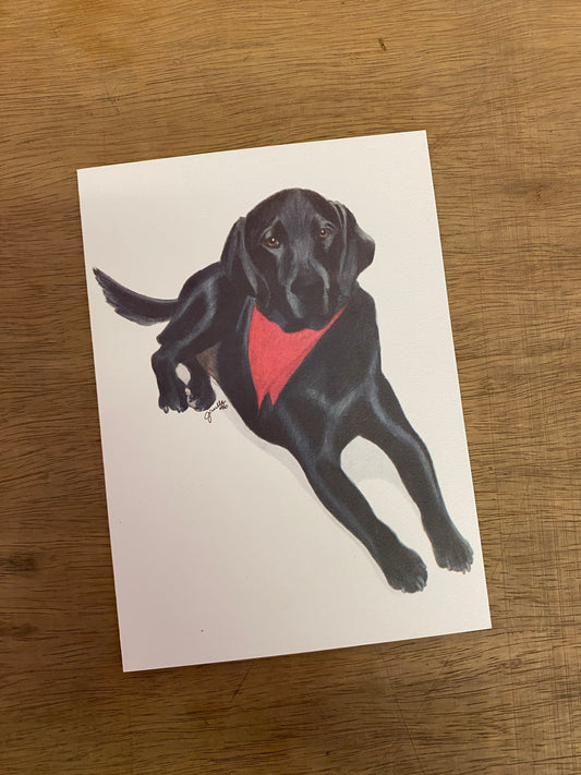 Black Lab Card (Dog)