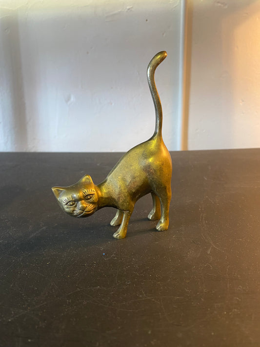 Golden Cat (small)