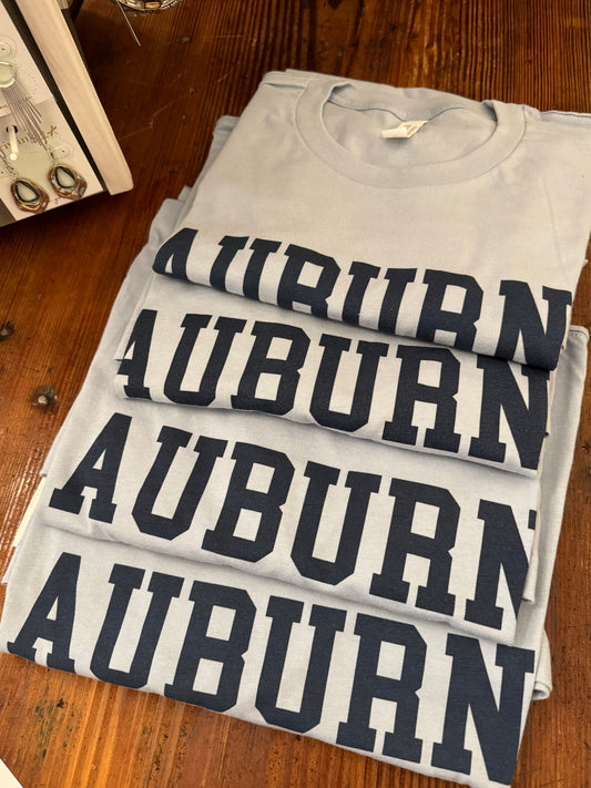 Light blue auburn in navy T-shirt