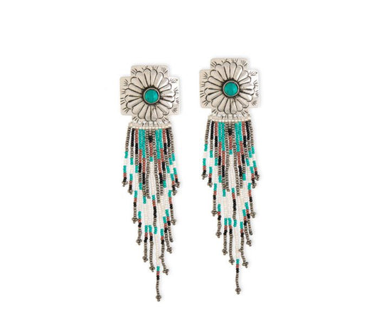 Wild canyon medallion & beaded Earrings